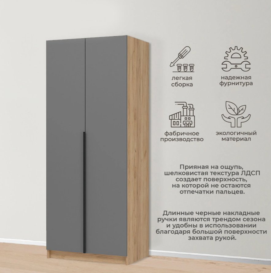 ЛИОН ШК-01 Шкаф 2-х створчатый Фасад ГРАФИТ СЕРЫЙ/Корпус ДУБ КРАФТ ЗОЛОТО