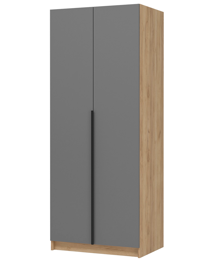 ЛИОН ШК-01 Шкаф 2-х створчатый Фасад ГРАФИТ СЕРЫЙ/Корпус ДУБ КРАФТ ЗОЛОТО